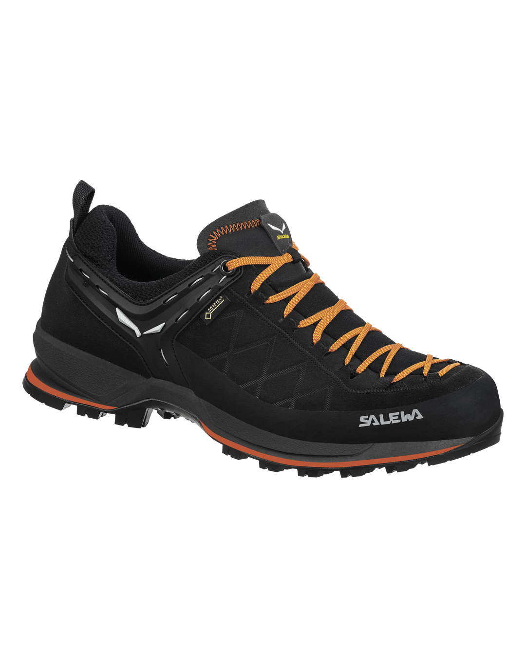 Salewa Mountain Trainer 2 GTX Trekking & Hiking Shoes