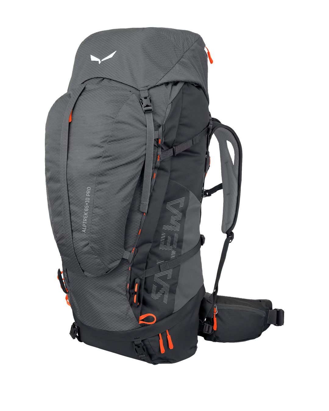 Salewa Alptrek 65+10 L Pro Rucksack