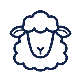 Merino Wool