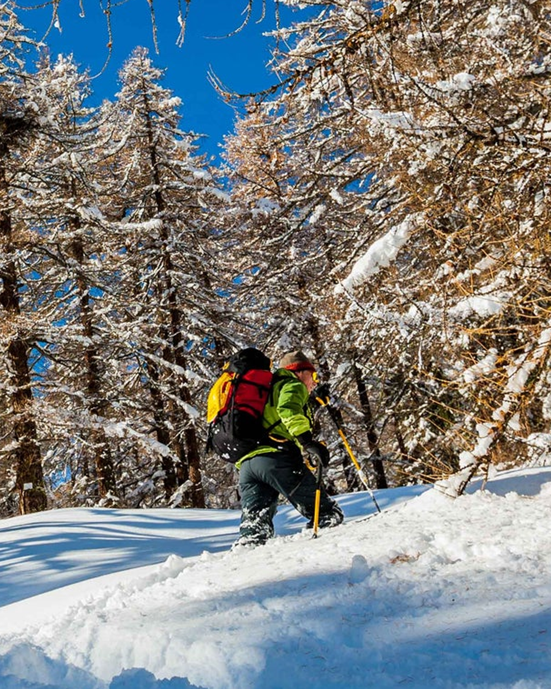 Grivel Monterosa Snowshoes